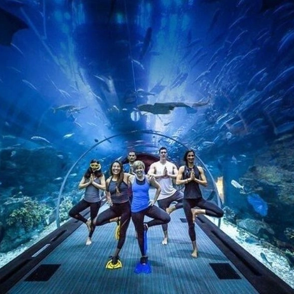 Underwater World