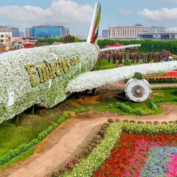 Miracle Garden