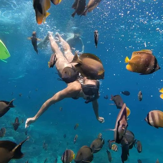 Snorkeling Experience in Nusa Penida