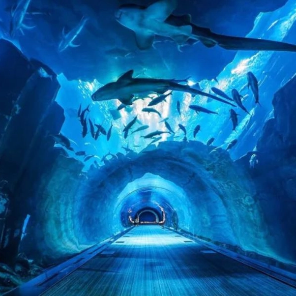 Dubai Mall Aquariu ...