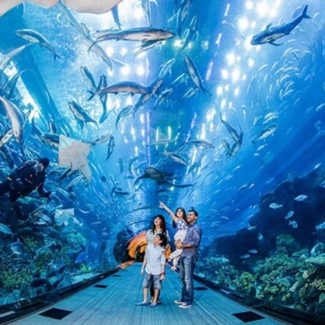 SEA. Aquarium™
