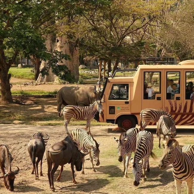 Bali Safari Park Ticket