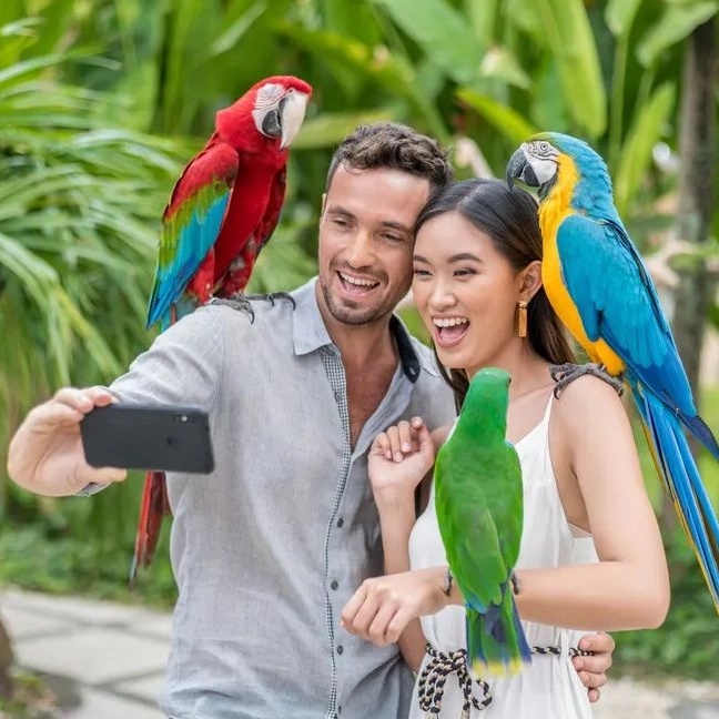 Bali Bird Park Ticket