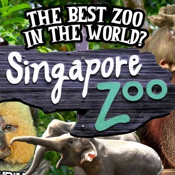 Singapore Zoo
